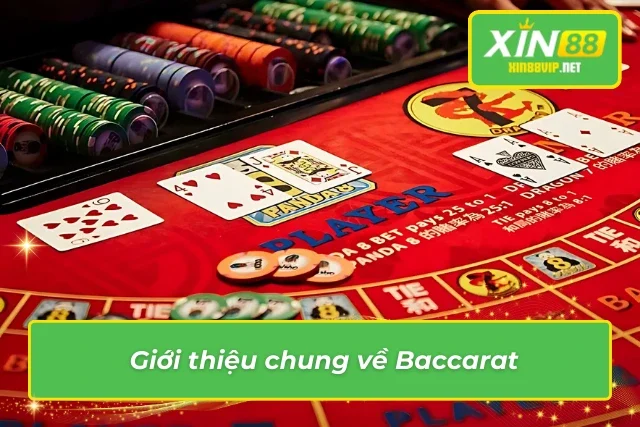 Baccarat XIN88: Cơ Hội Thắng Lớn Cùng Trải Nghiệm Chân Thực Thông tin nổi bật về Baccara